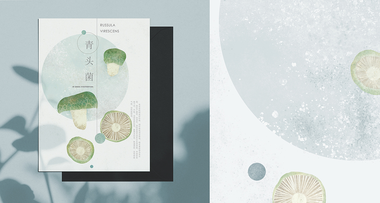 云南野生菌 | 非 致幻图谱