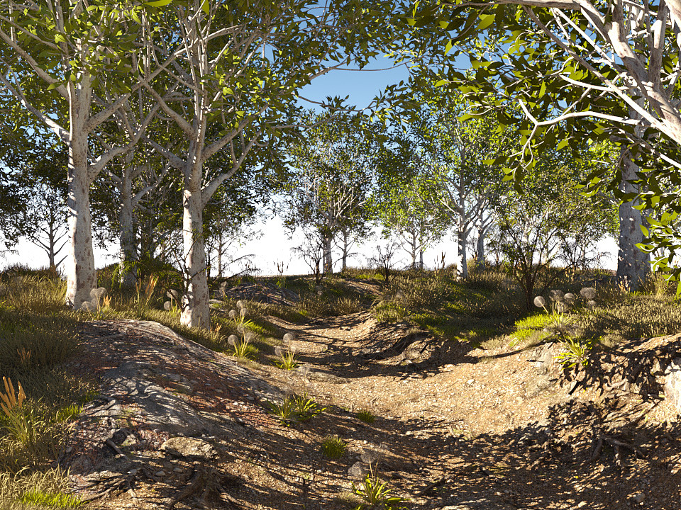 森林小径（图ZMTc1Nzc4ODI0） - 场景 - 站酷设计师久思_follit原创素材 - 站酷ZCOOL