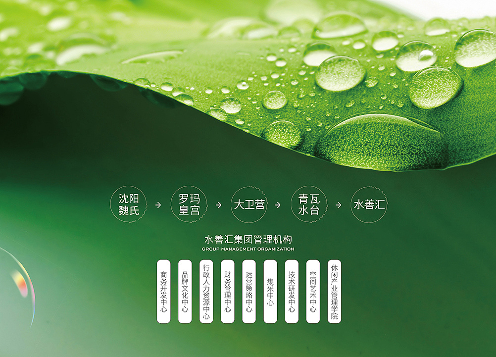 沈阳水善汇 SPA 温泉会馆整体品牌策划,品牌设