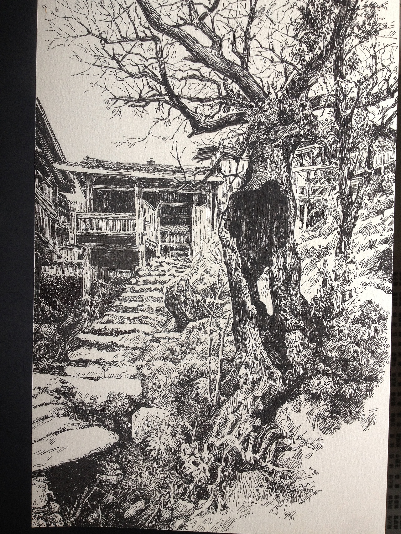 自学钢笔画各类作品一览~有你喜欢的么~