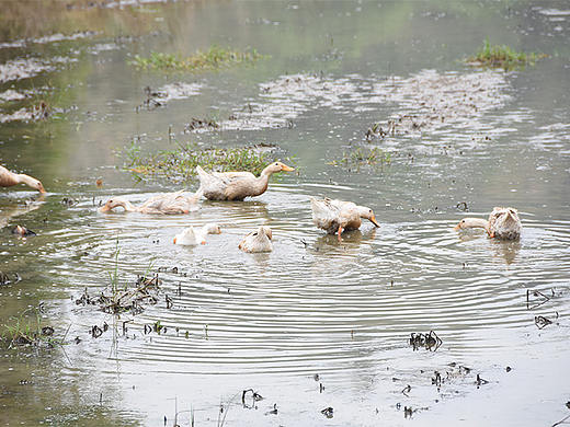 摄影作品《归去时，仍是此间少年》