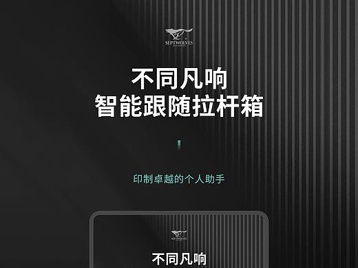 智能跟随拉杆箱