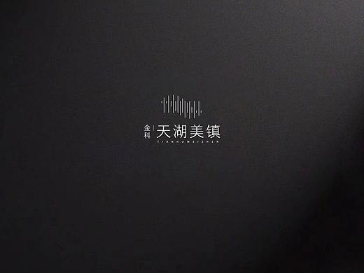 金科——天湖美镇