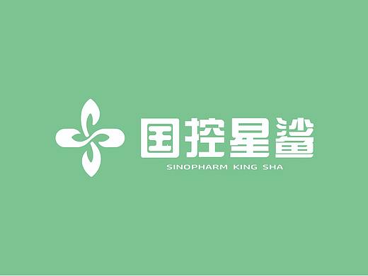 国控星鲨 logo设计