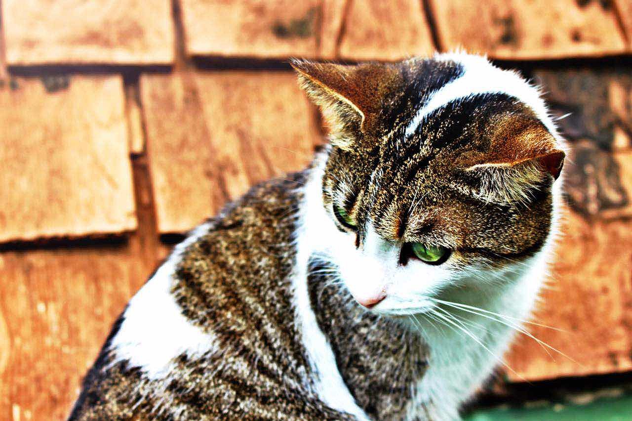 摄影类作品（图ZODE5NzU1NDQ=） - 风光摄影 - 站酷设计师莳蕴原创素材 - 站酷ZCOOL