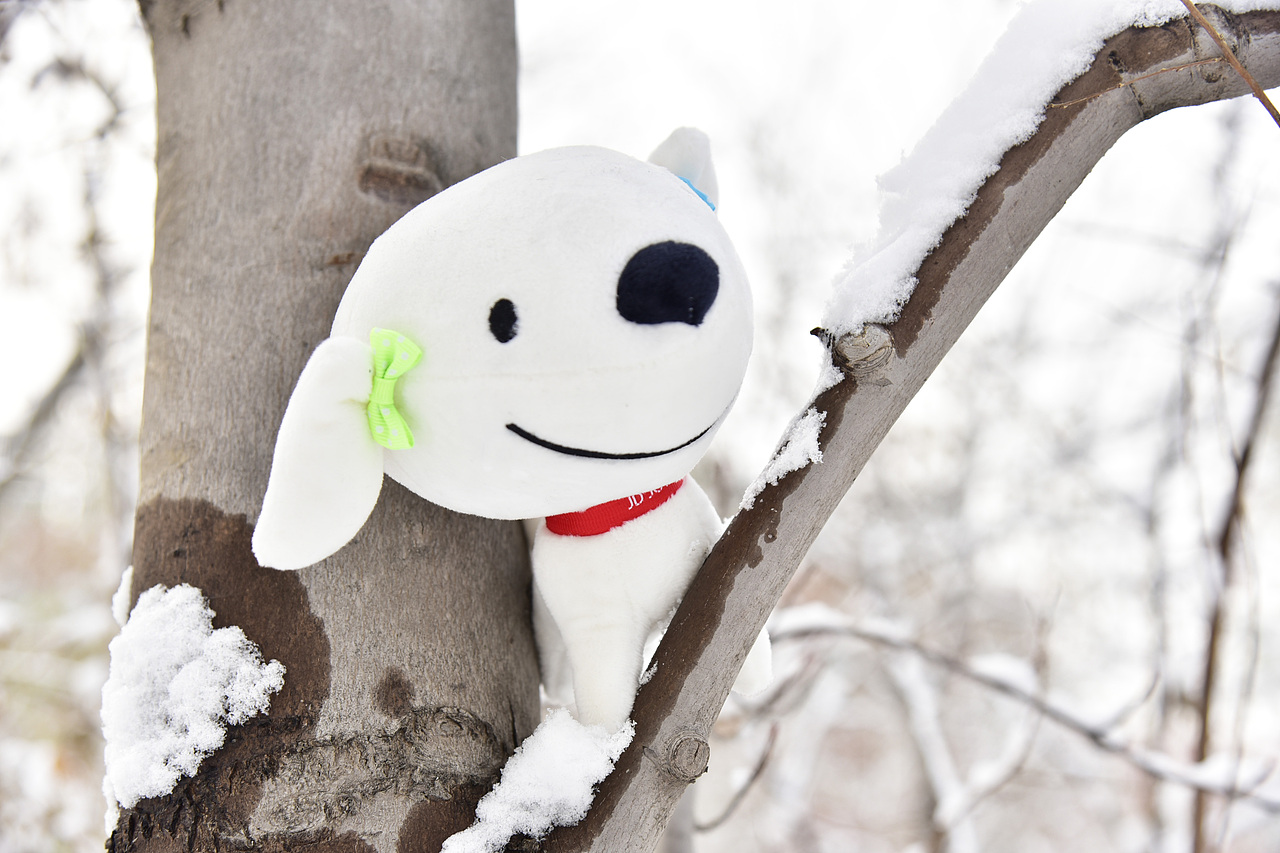 小京东带你玩北城