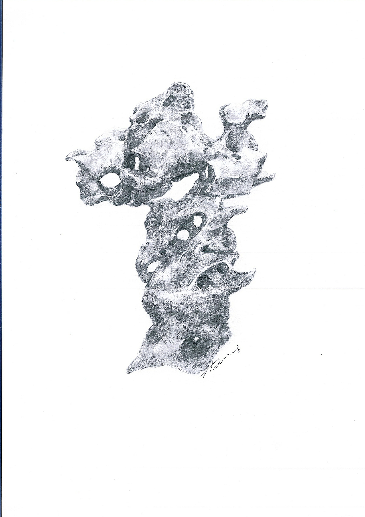 素描山子(太湖石)