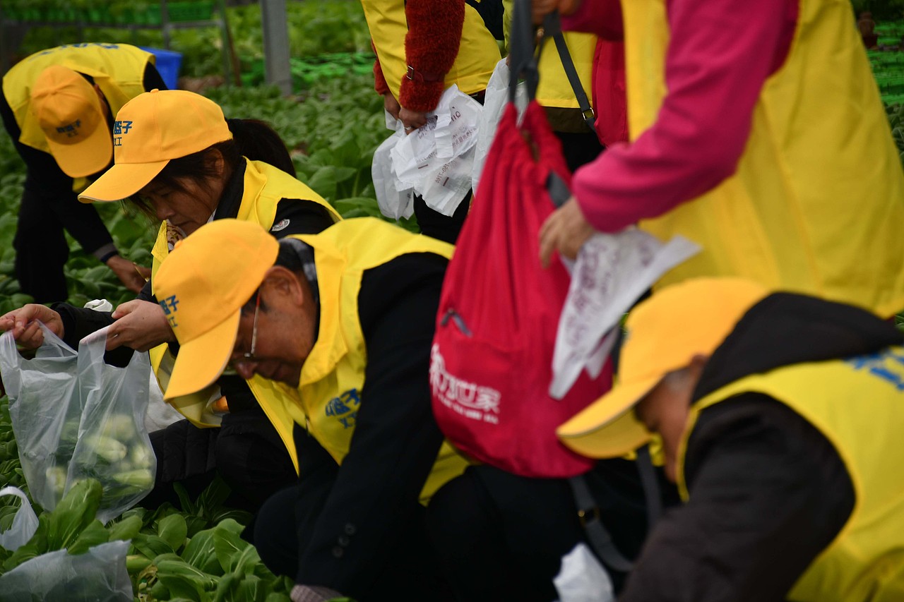 黄篮子生鲜连锁图片素材库 - 站酷图片网