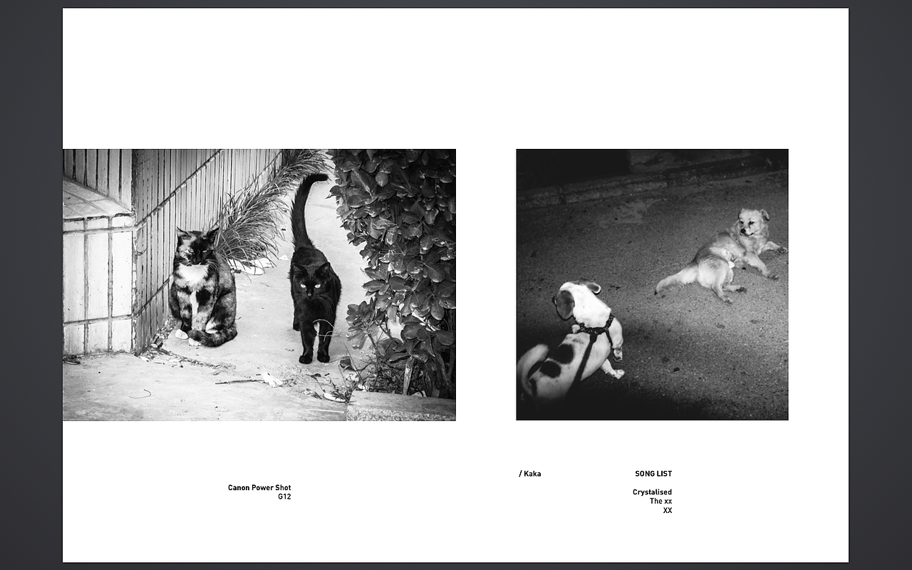 照片书：《 Fake Plastic Life 》Vol.02（图ZMjM2NjEzNTY=） - 书籍/画册 - 站酷设计师Kai_Chow原创素材 - 站酷ZCOOL