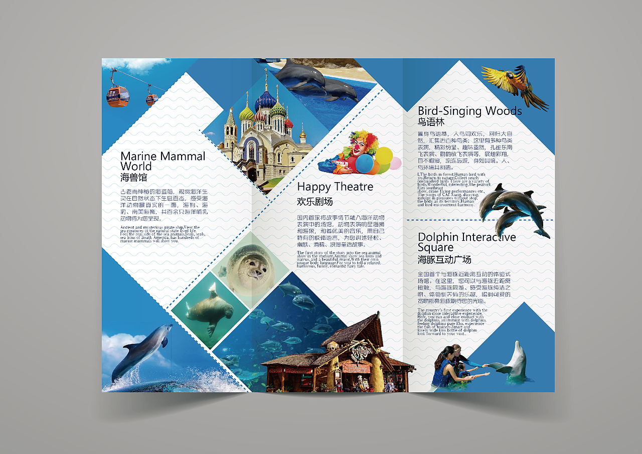 大连老虎滩海洋公园 折页设计（图ZNTY4MTMwMjQ=） - 书籍/画册 - 站酷设计师ShellyDesigner原创素材 - 站酷ZCOOL
