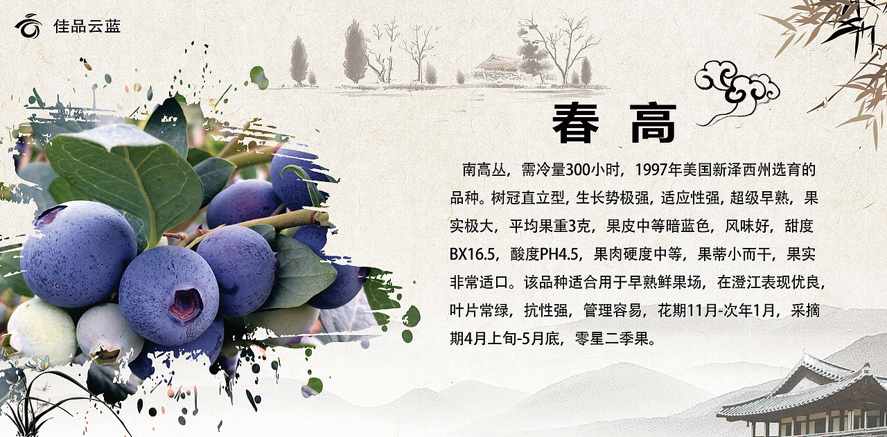 展板（图ZMTQzNDc0MzA4） - 宣传物料 - 站酷设计师呆呆小萌原创素材 - 站酷ZCOOL