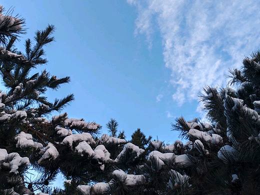 雪后漫步（个人主页-ZNjc2NDAyMDQ=） - 风光摄影 - 站酷设计师WKK_原创素材 - 站酷ZCOOL