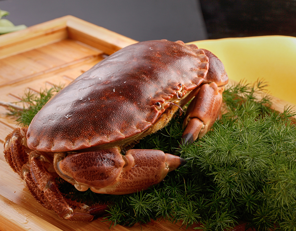 荤素之间---食材之惊艳