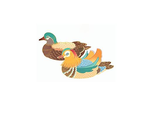 插画设计教程-零基础教你绘制鸳鸯插画