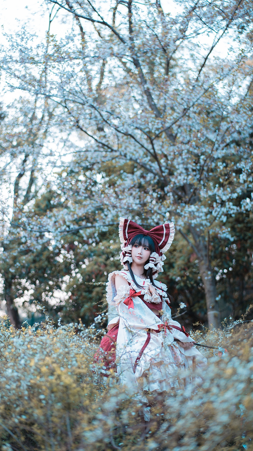 赶上晚樱和东方