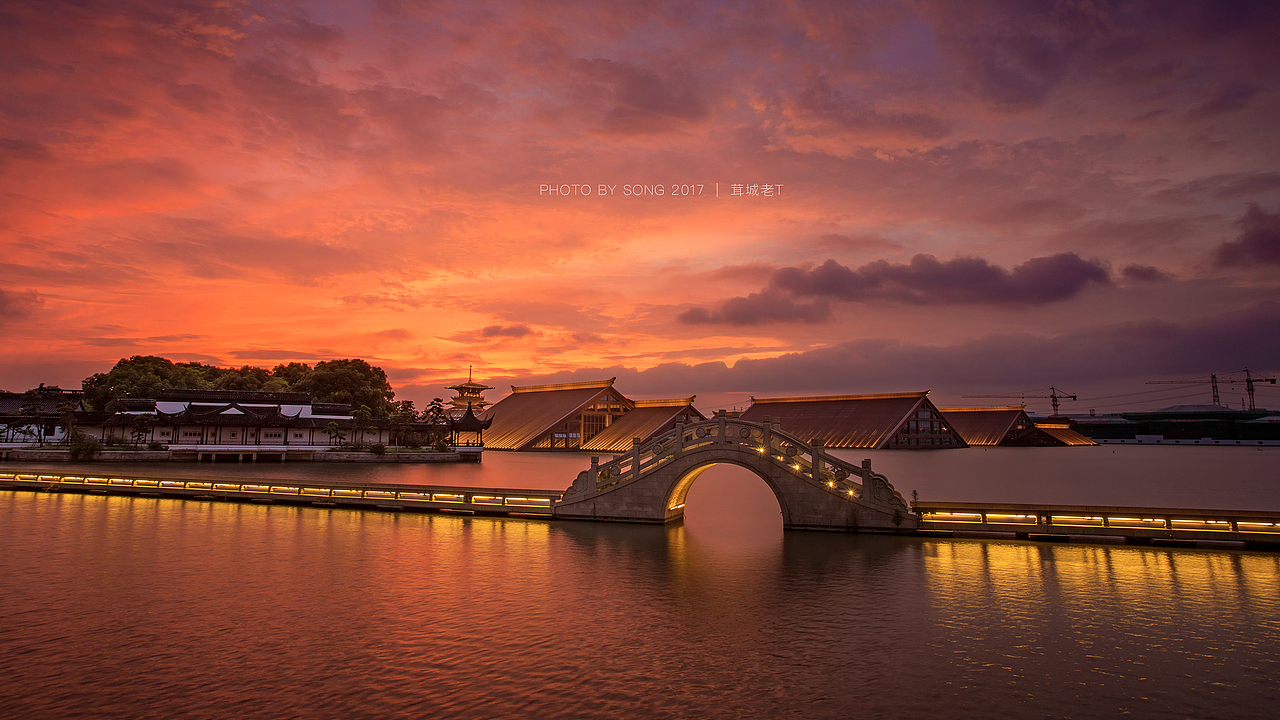 20分享收藏老街虞美人青海花田标签广富林遗址松江上海茸城老t古建筑