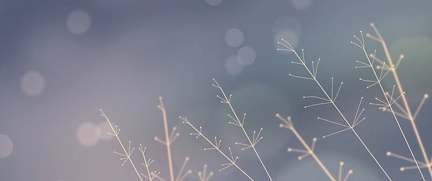 氛围光影插画月练总结