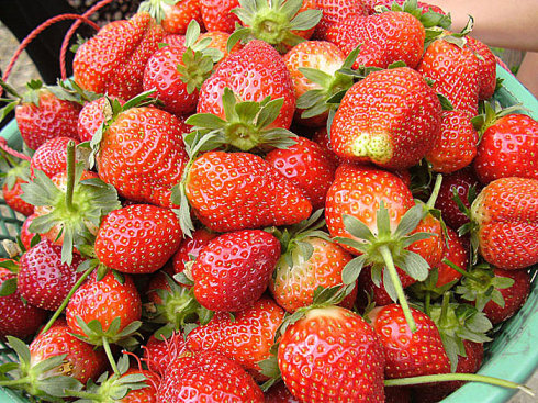 民旅的個人主頁（背景預(yù)覽） - 主頁背景設(shè)置 - 站酷設(shè)計師民旅原創(chuàng)素材 - 站酷ZCOOL