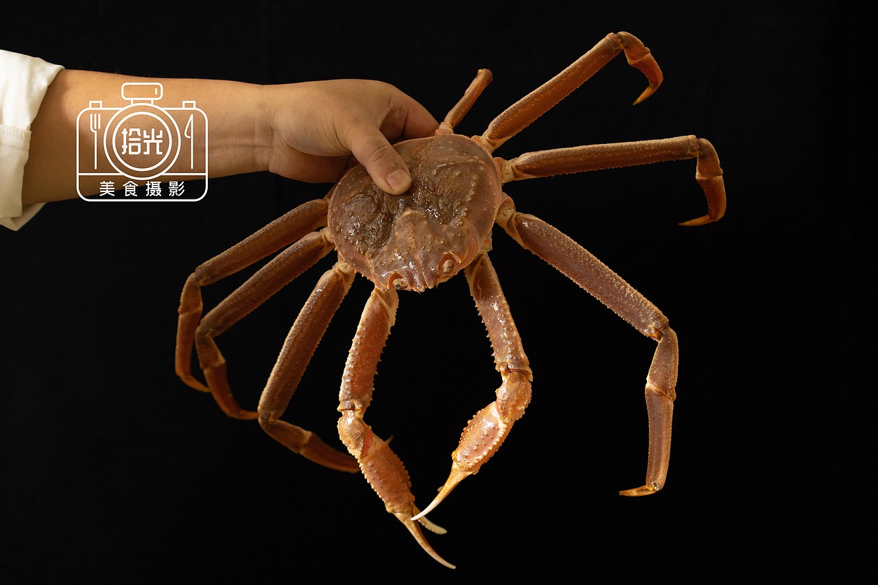 生猛海鲜·美食摄影·食材（图ZMTkzNTAxODQ4） - 产品摄影 - 站酷设计师SEVEN七叔原创素材 - 站酷ZCOOL