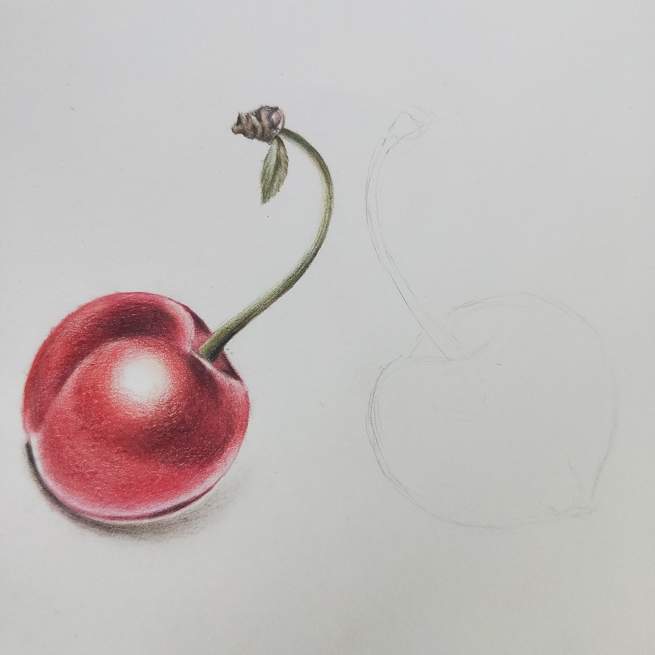 画出黑樱桃的轮廓,一定要淡!