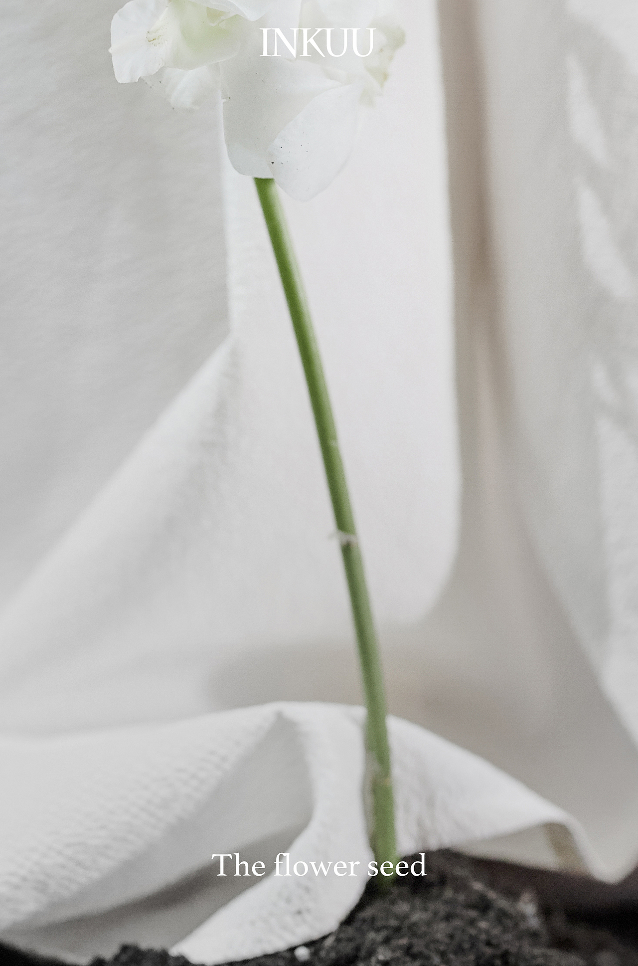 第1星|木卫一 IO