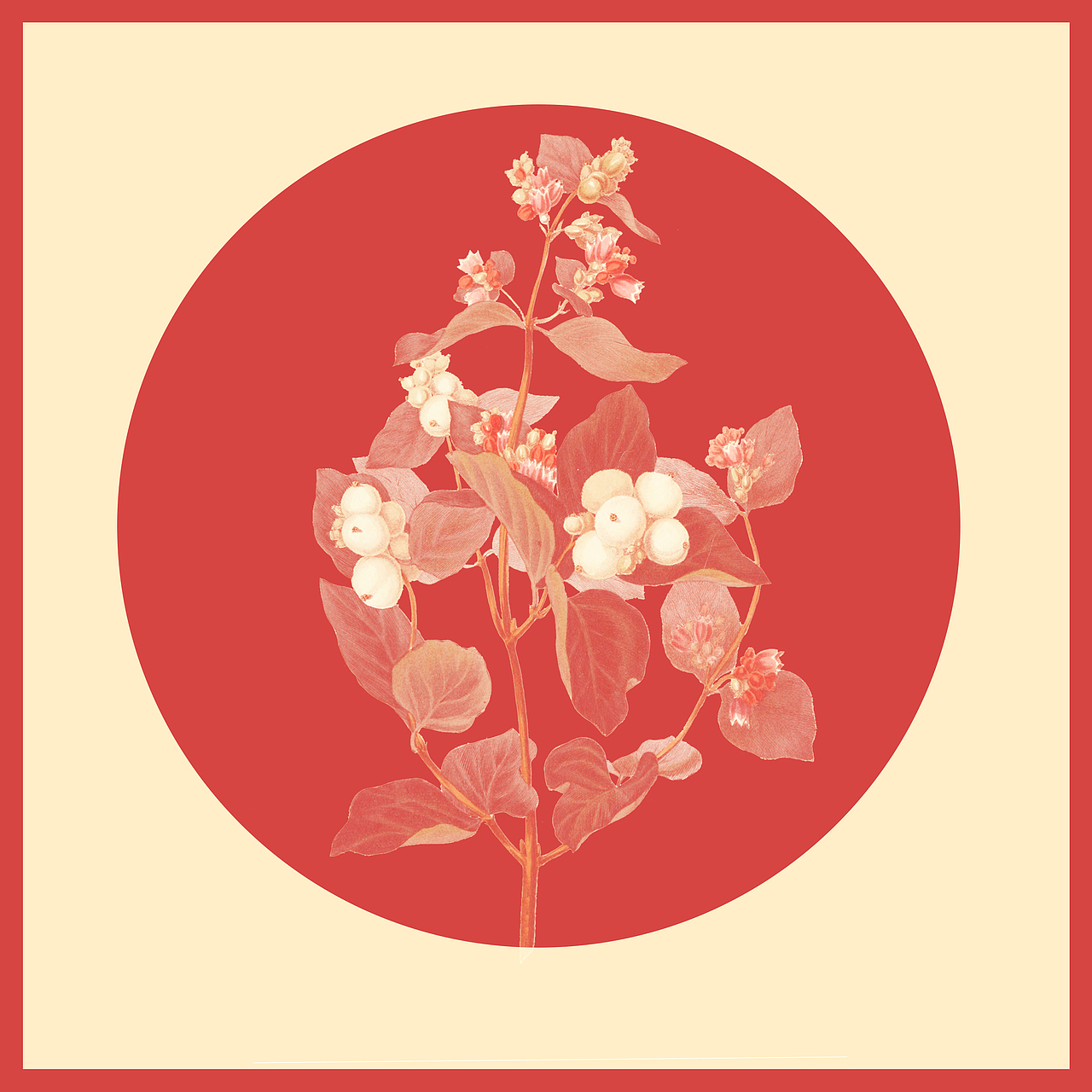 《 FLOWEING BOOK 》（图ZNjAzOTkzNDQ=） - 品牌 - 站酷设计师I玲珑骰子I原创素材 - 站酷ZCOOL