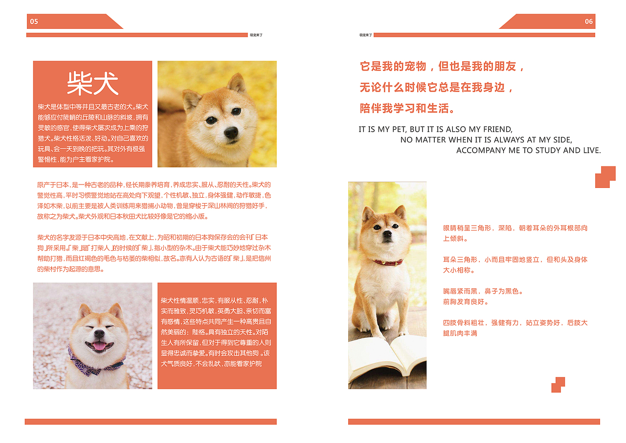 萌宠来了三折页、画册（图ZMTMyMzkwMjUy） - 书籍/画册 - 站酷设计师蒸个大肉包原创素材 - 站酷ZCOOL