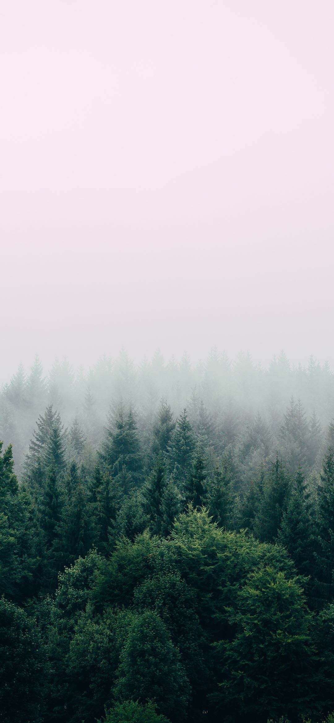 shiyi1104的個人主頁（背景預(yù)覽） - 主頁背景設(shè)置 - 站酷設(shè)計師shiyi1104原創(chuàng)素材 - 站酷ZCOOL