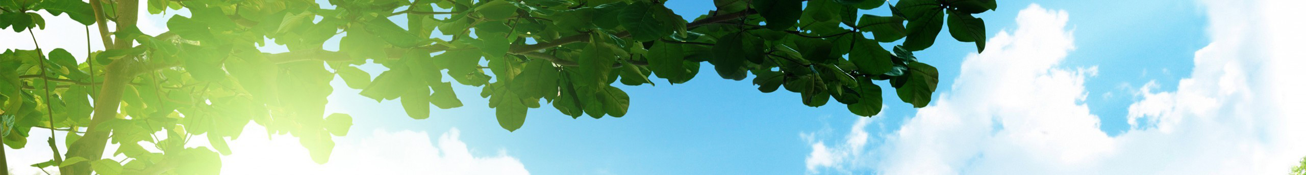 LOVE心旷的个人主页（封面预览） - 主页封面设置 - 站酷设计师LOVE心旷原创素材 - 站酷ZCOOL