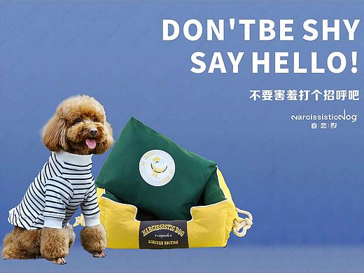 宠物服装产品 服装类宣传册排版