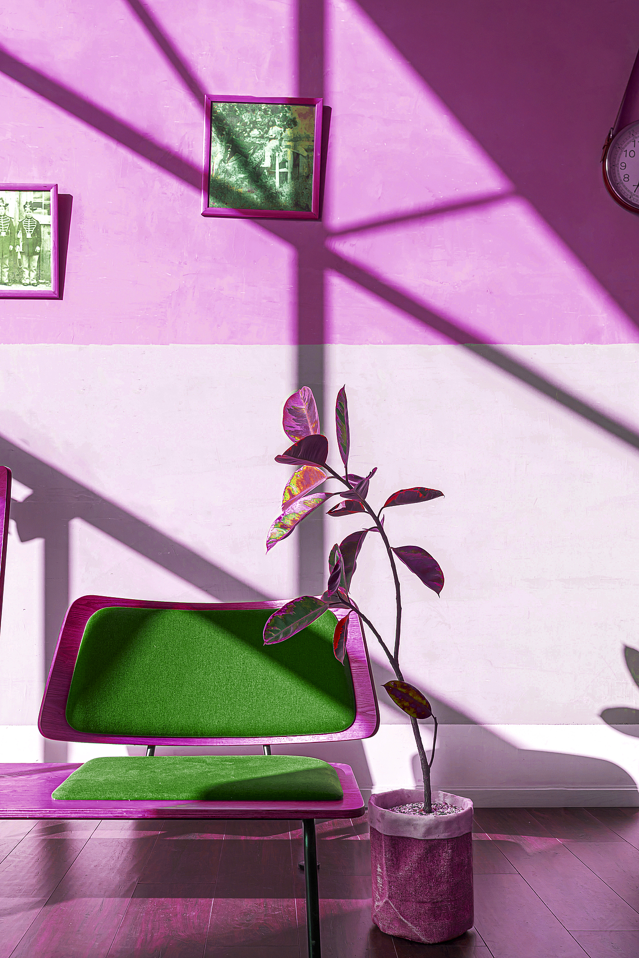 盆栽绿植摄影（图ZMjQzNTg4NzAw） - 产品摄影 - 站酷设计师隐四原创素材 - 站酷ZCOOL