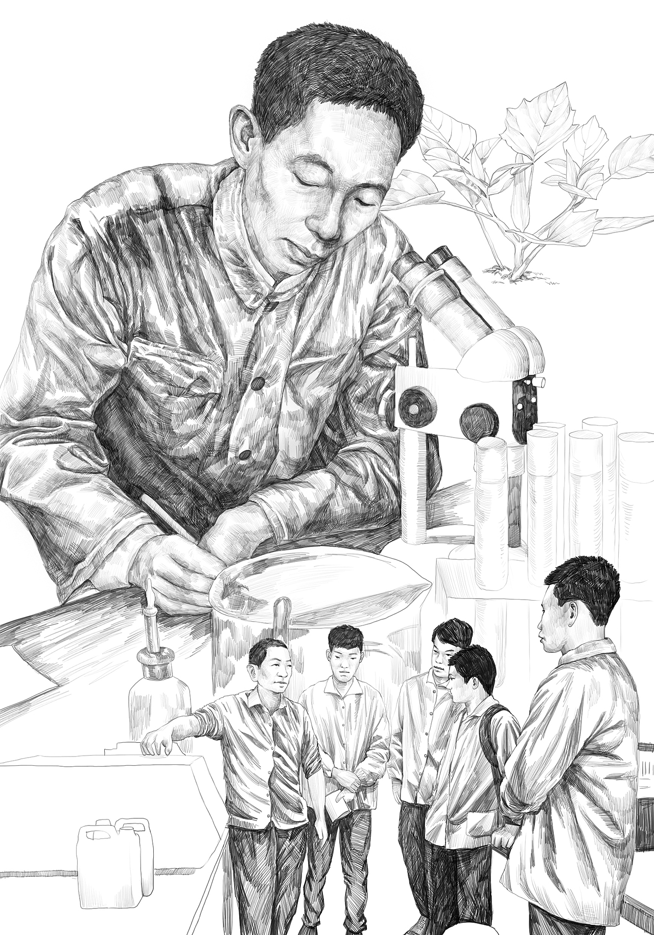 杂交水稻之父插画