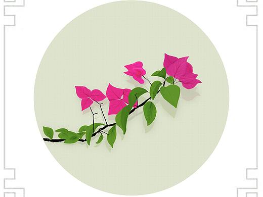 深圳市花——三叶梅