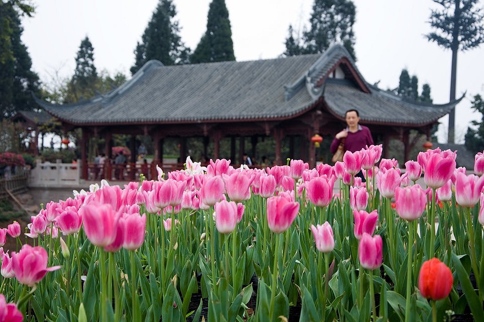 成都 花舞人间风景区（图ZMTYyMjg3MTI=） - 风光摄影 - 站酷设计师爱摄影的少年斌帅原创素材 - 站酷ZCOOL