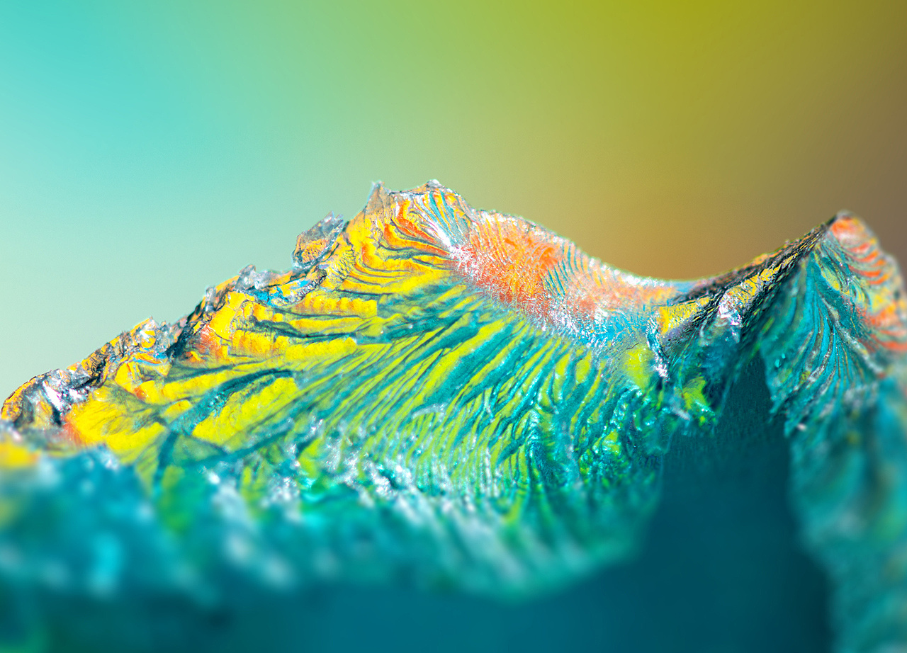 绽影像之《雪隐鹭鸶》