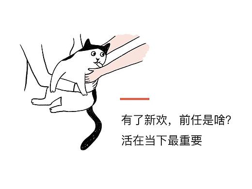 你要跟猫学习一下：假装独立，适度撒娇，几乎不动心