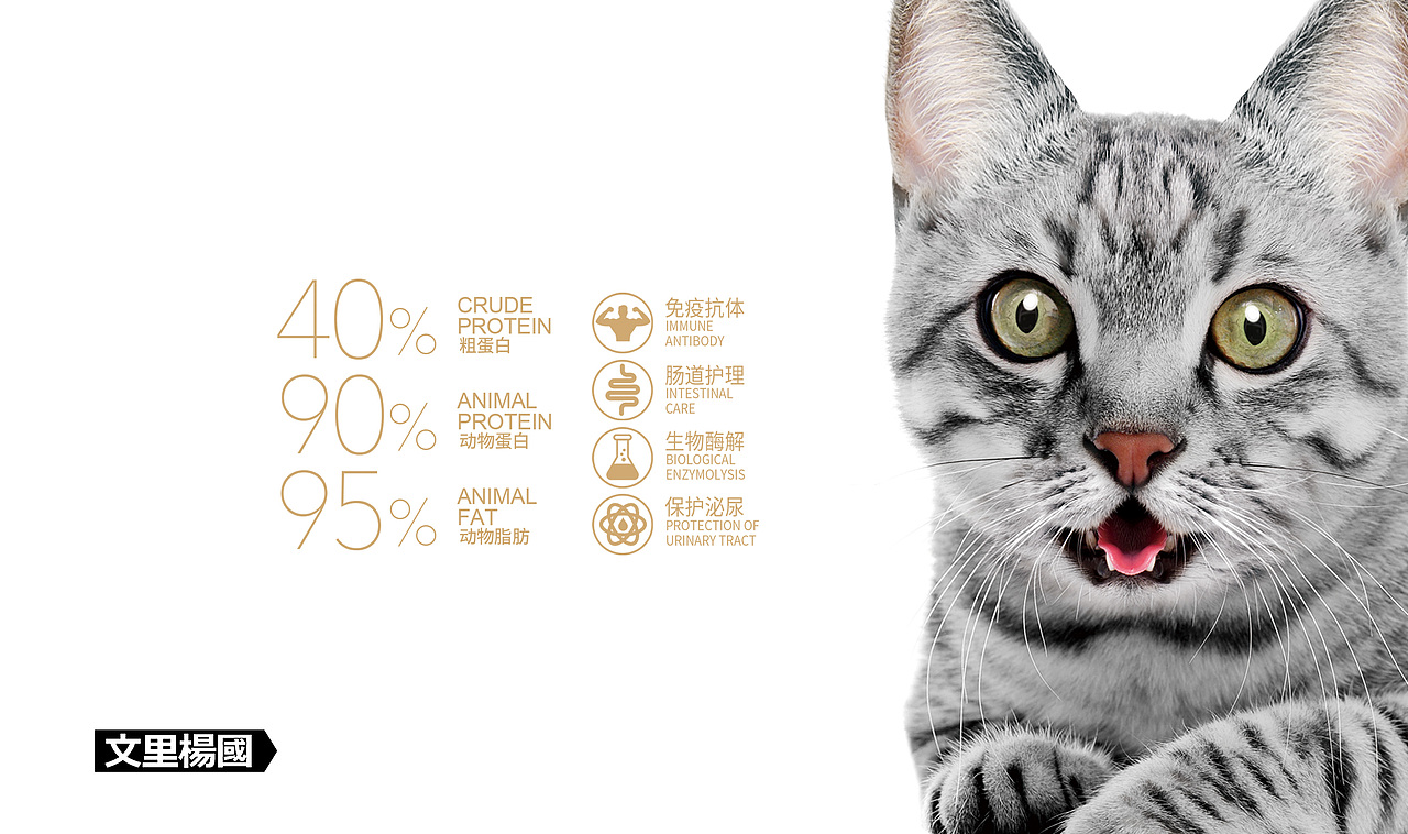 文里杨国.猫粮-原创食品包装设计（图ZMjc1NjE2MDIw） - 包装 - 站酷设计师wenliyangguo原创素材 - 站酷ZCOOL