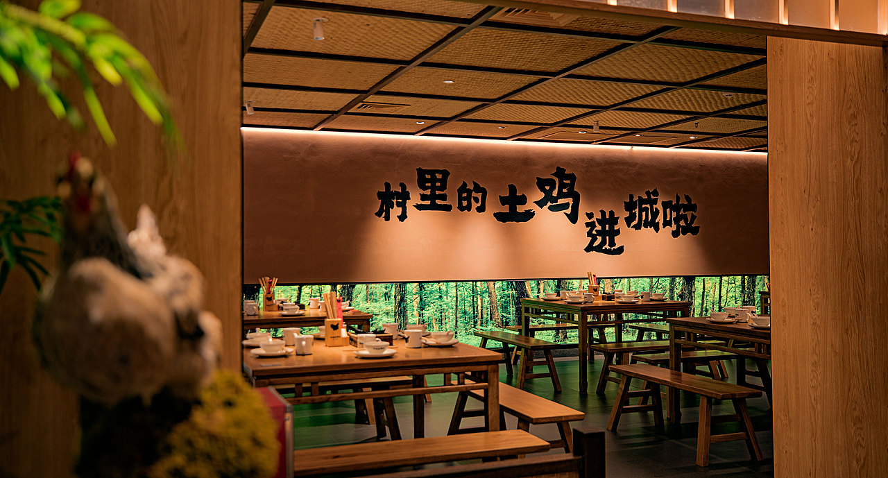 底气策划全案案例——洞庭土鸡馆