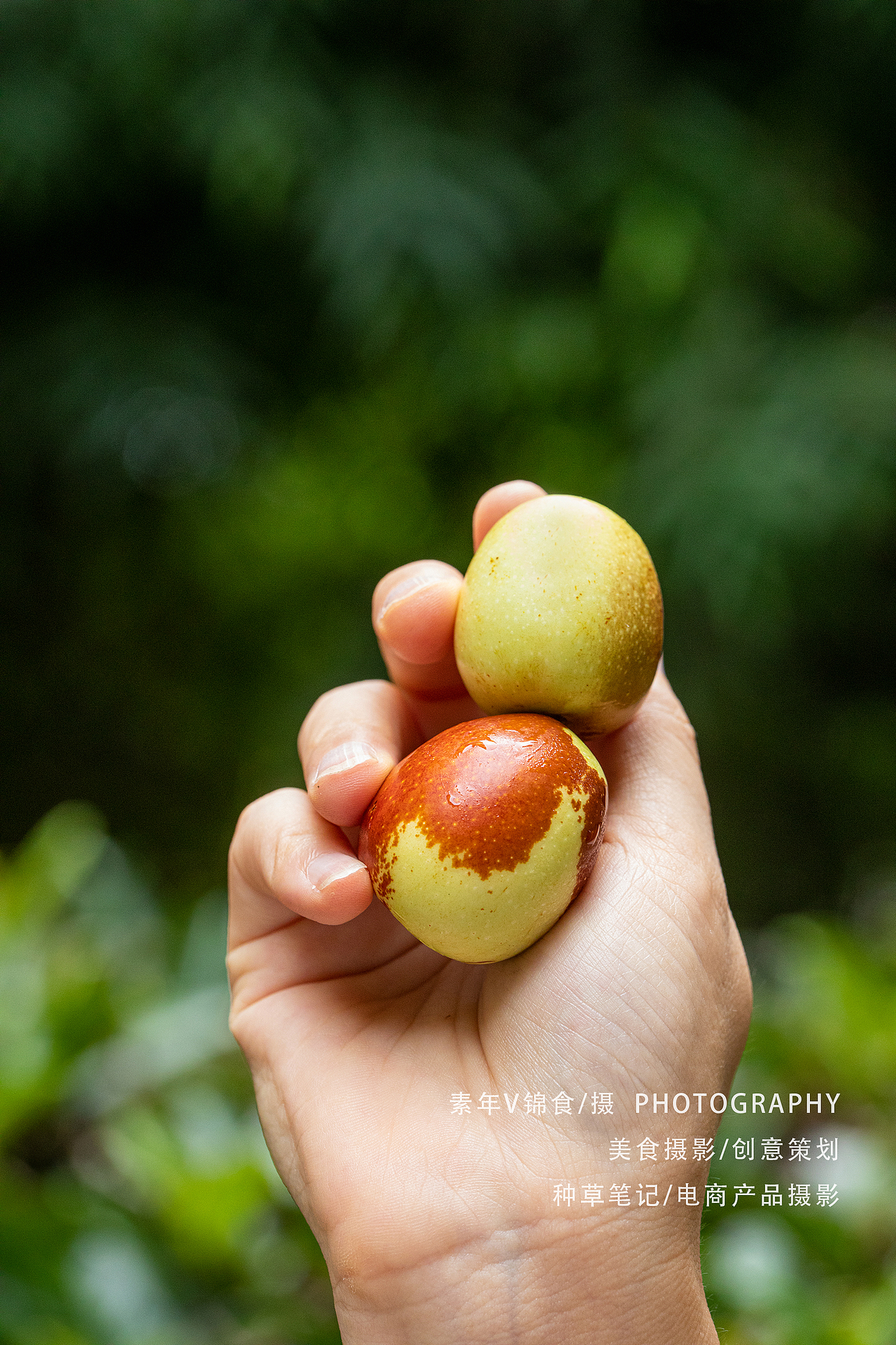 牛奶冬枣/户外/生活氛围拍摄/生活美学