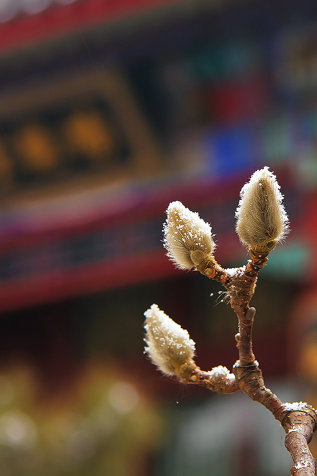 又一次四季轮回