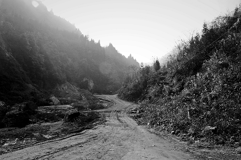 公路主干线旁边的山路,听采药人说顺着它一直走会看见这里一个直径200来米是清平镇周围最大的一个堰塞湖.它的排水线路被地震时山上滚落的巨石截断,在明年雨季极有可能造成洪水.而洪水的流经地正是正在重新建造的清平镇