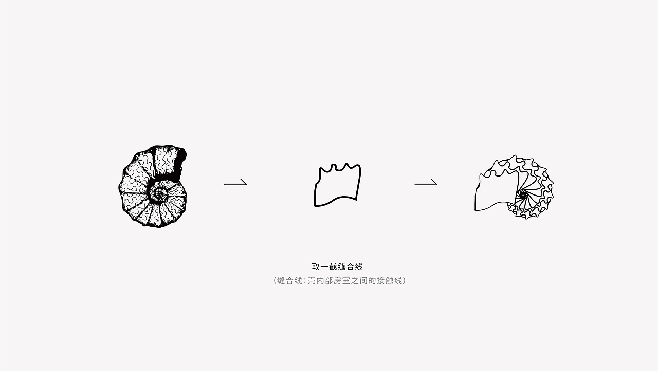 森林化石工作室logo