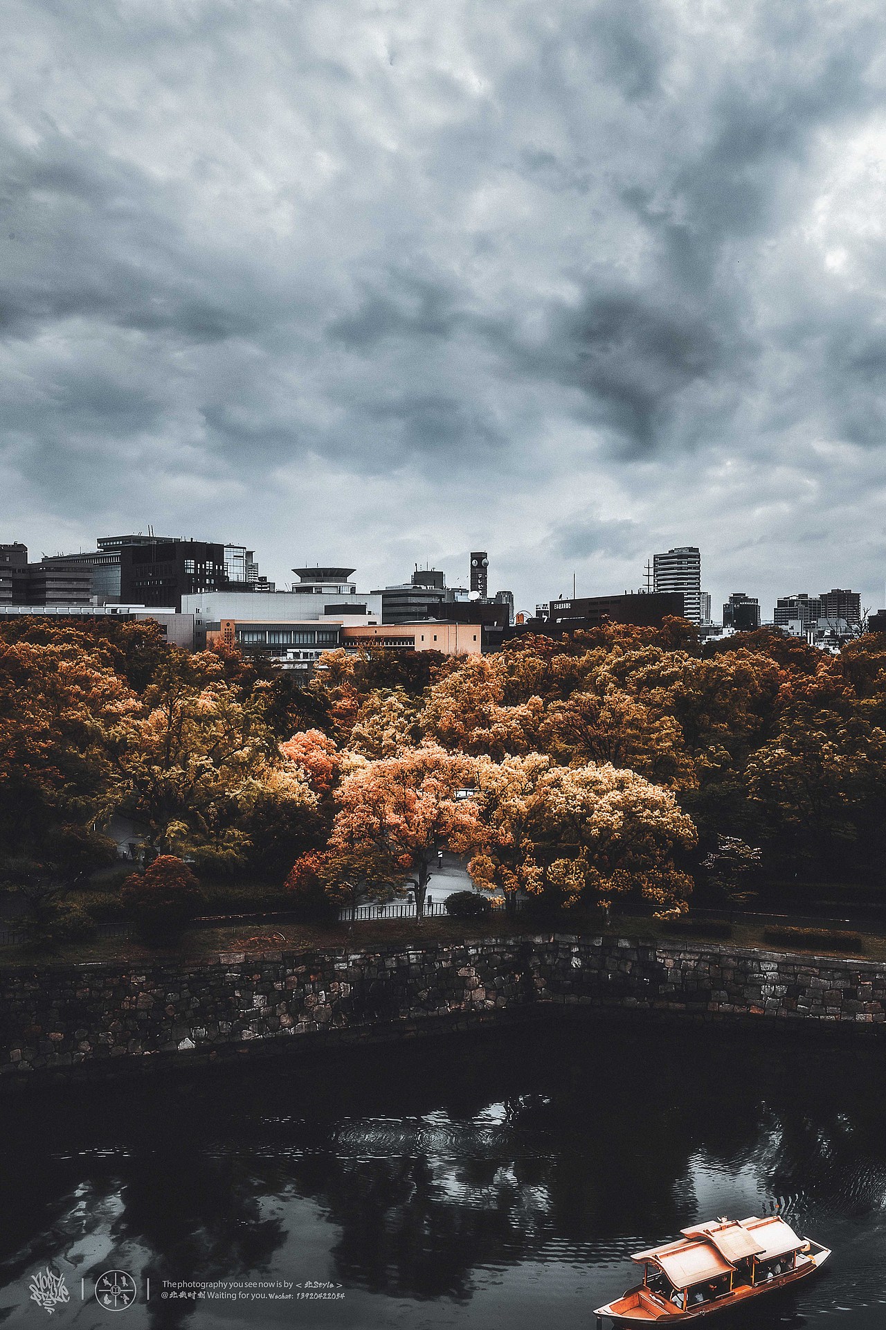 城市猎人/Looking for