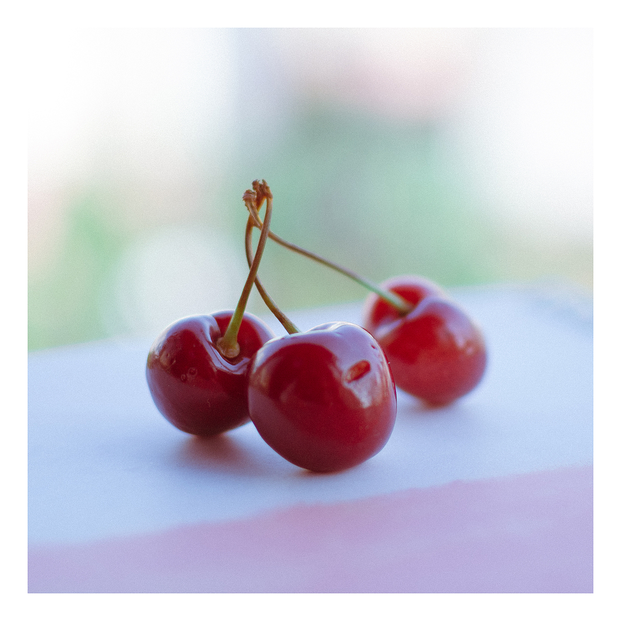 如樱桃般的想念