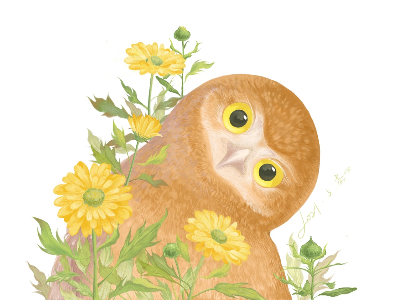 插画| 穴小鸮|插画|绘本|荼白的插画集 - 原创作品 - 站酷 (zcool)