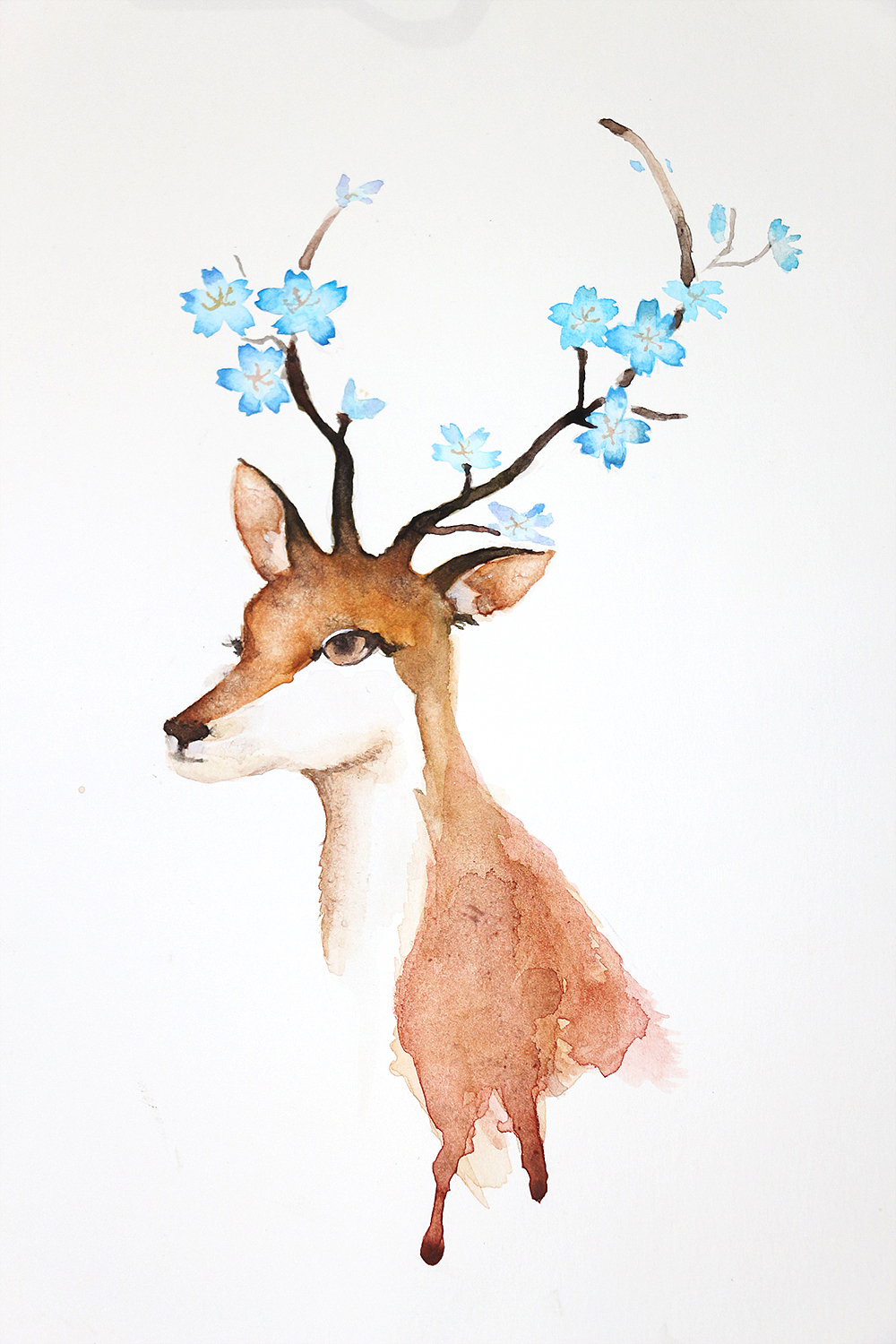 水彩-鹿与猫