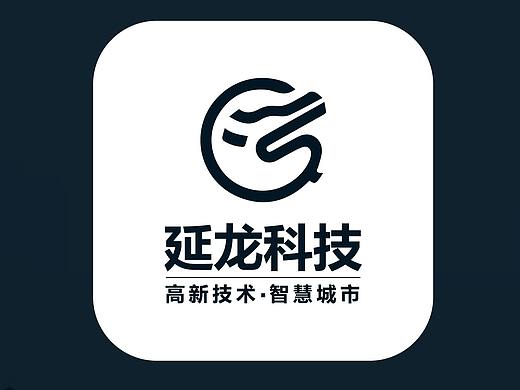 延龙科技logo