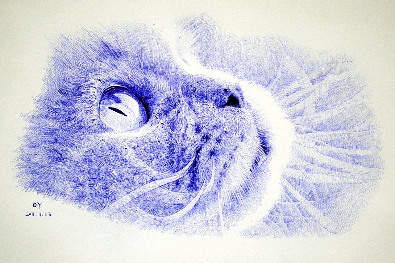 OY圆珠笔画:小猫小狗小青蛙