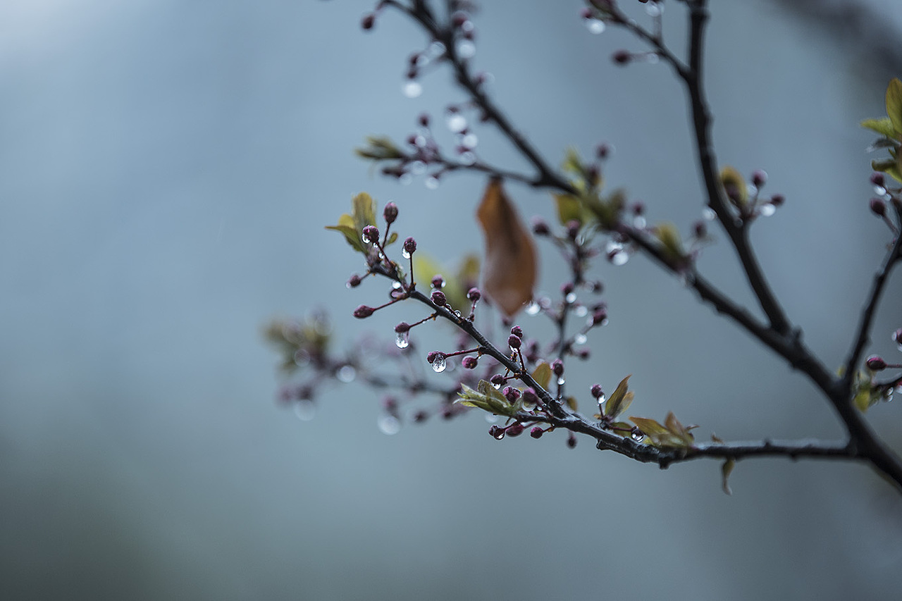 雨露均沾