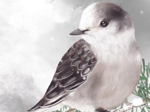 小鸟练习